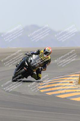 media/May-14-2023-SoCal Trackdays (Sun) [[024eb53b40]]/Turn 12 (1145am)/